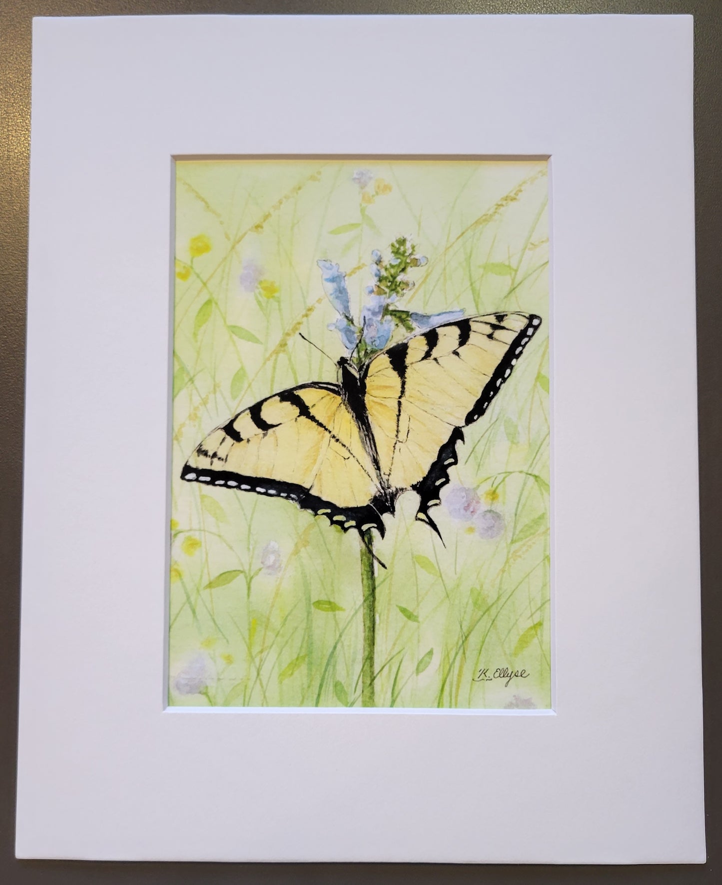 Watercolor Prints - Ellyse's Studio, Butterflies, 8x10