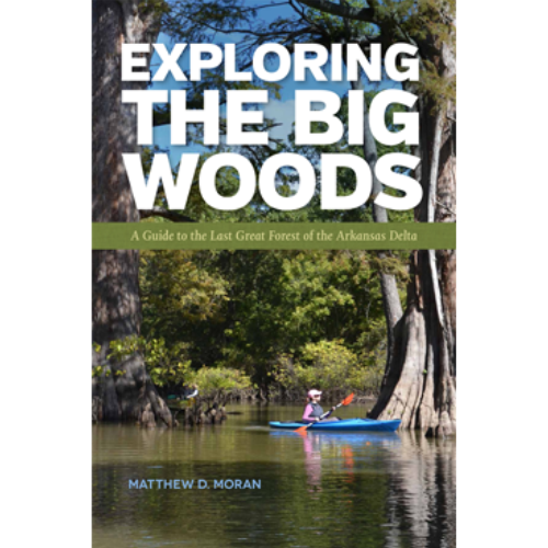 "Exploring the Big Woods"